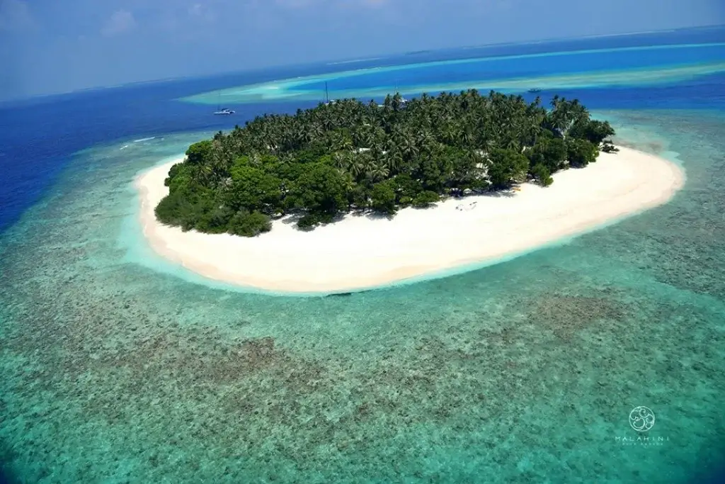 picnic island maldives- bikini allowed