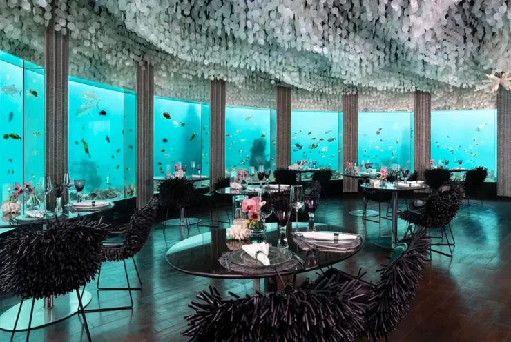 underwater restaurant maldives